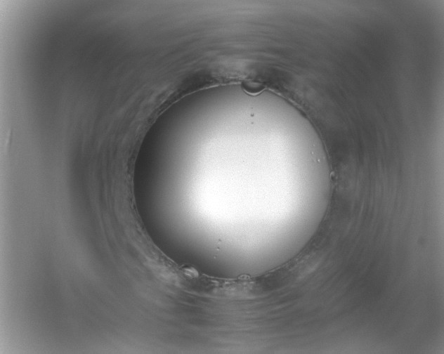 X0000054431201200508051824