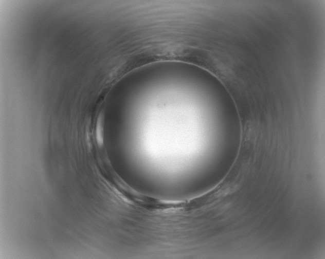 X0000054431202200508051824