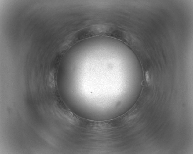 X0000054431203200508051824