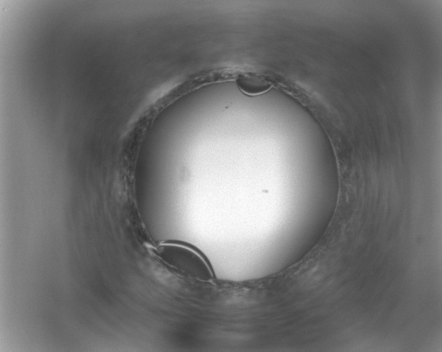 X0000054431207200508051824