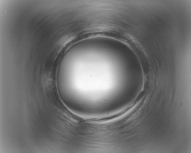 X0000054431210200508051824