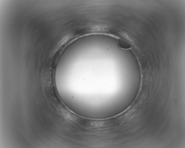 X0000054431211200508051824