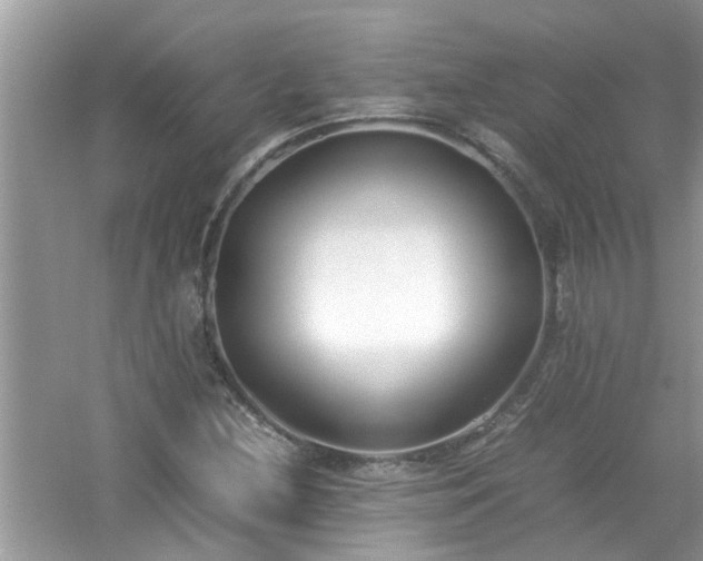 X0000054431212200508051824