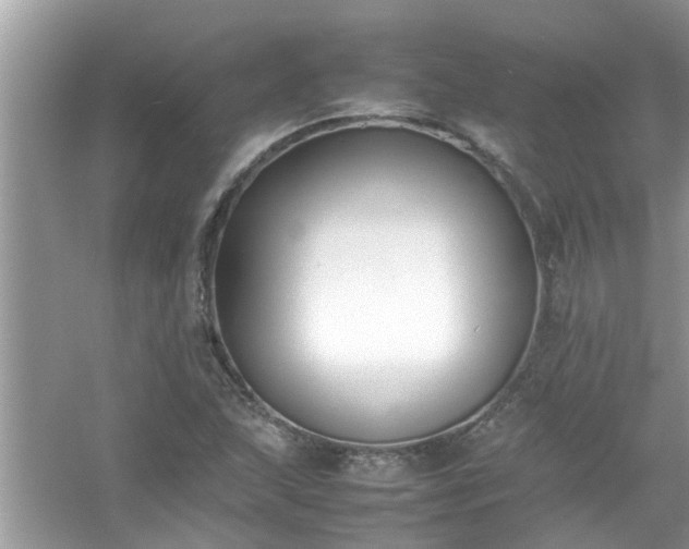 X0000054431215200508051824