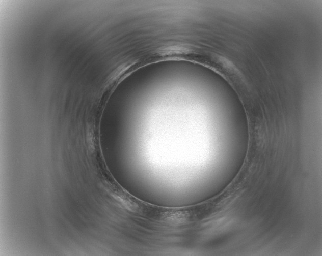 X0000054431217200508051824