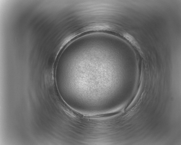 X0000054431226200508051824