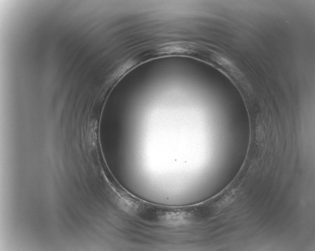 X0000054431233200508051824