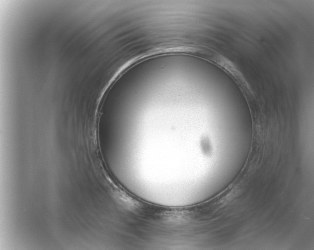 X0000054431236200508051824