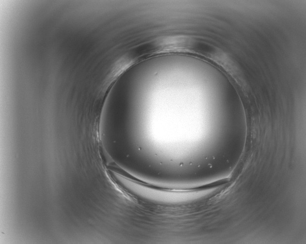 X0000054431241200508051824