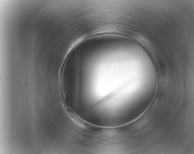 X0000054431242200508051824