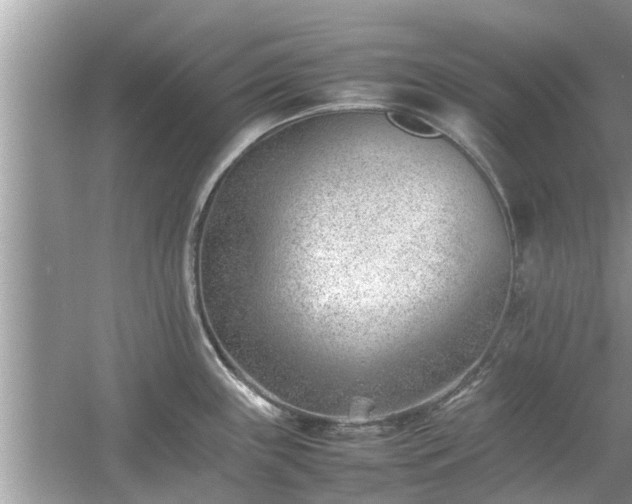 X0000054431243200508051824