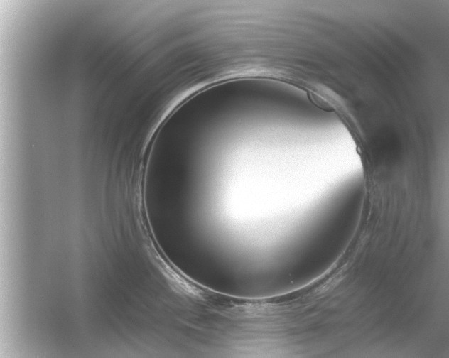 X0000054431244200508051824