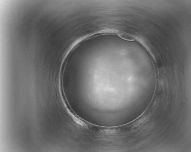 X0000054431245200508051824