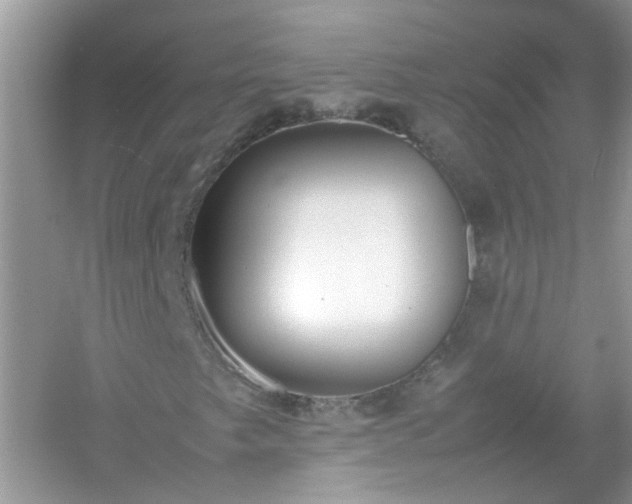 X0000054431249200508051823