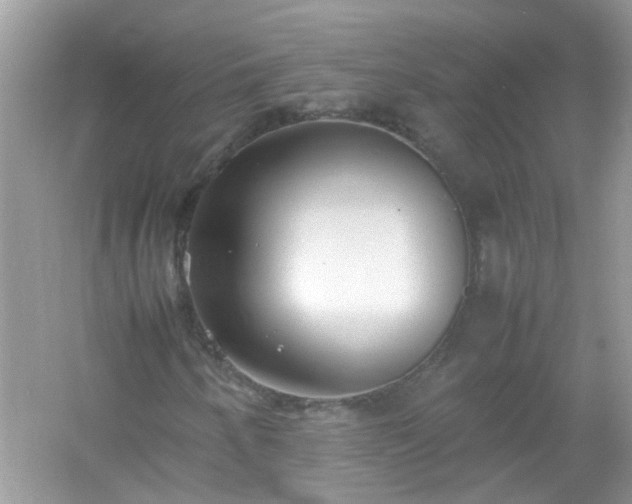 X0000054431250200508051823