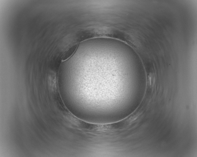 X0000054431251200508051823