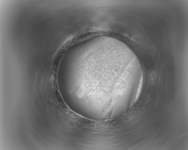 X0000054431254200508051823