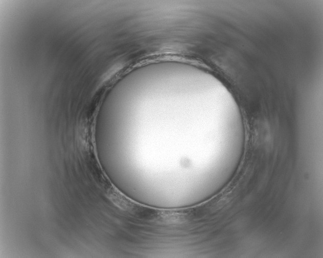 X0000054431258200508051823