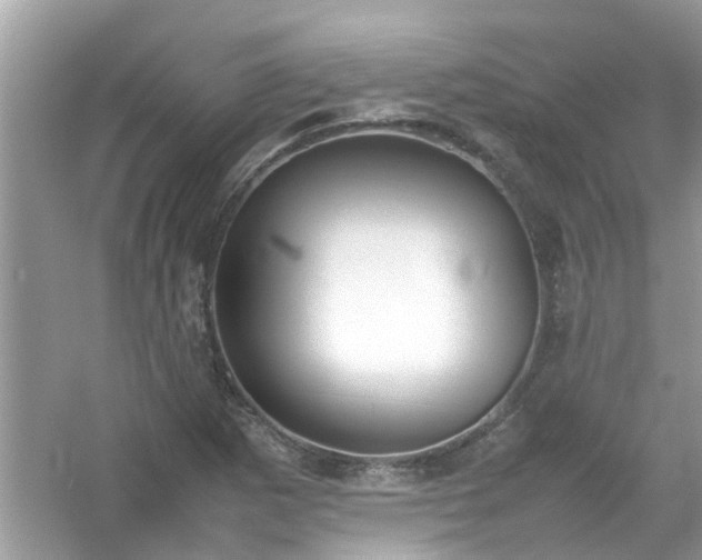 X0000054431265200508051823