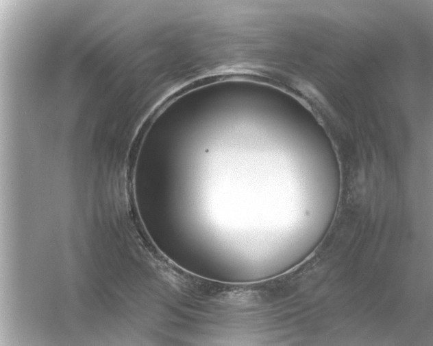 X0000054431268200508051823