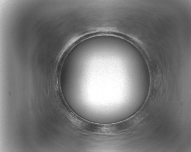 X0000054431271200508051823