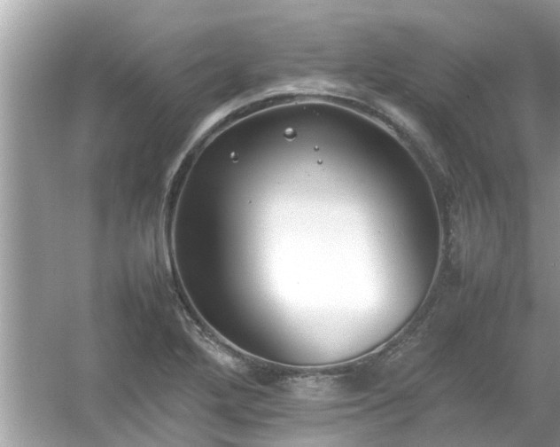 X0000054431272200508051823