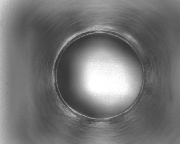 X0000054431280200508051823