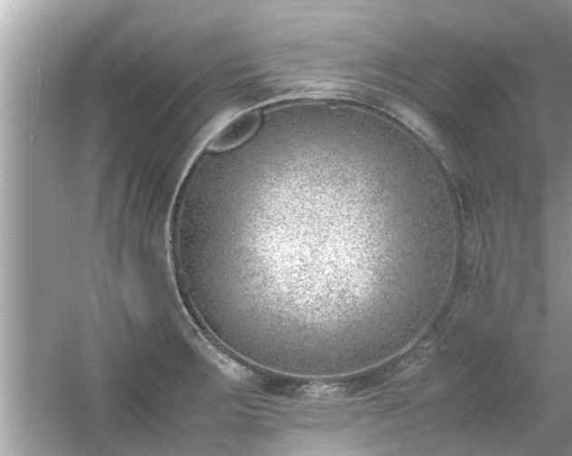 X0000054431283200508051823