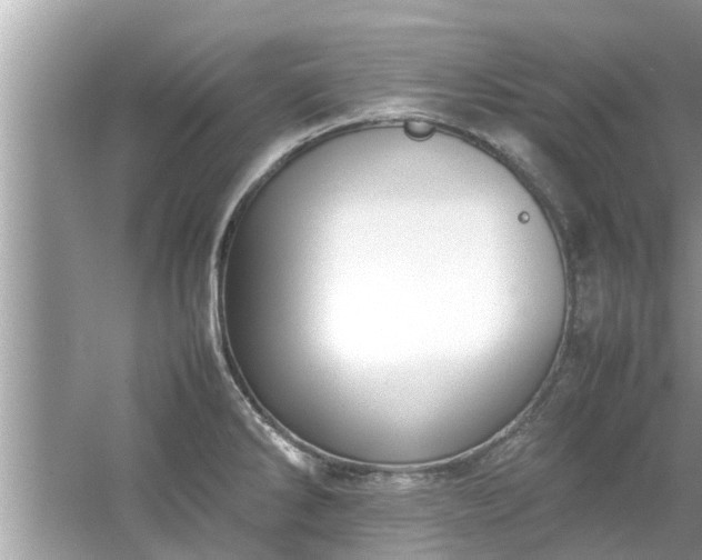 X0000054431286200508051823