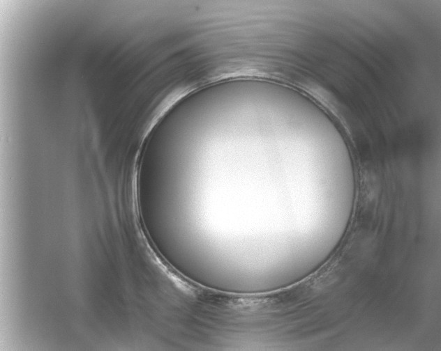 X0000054431290200508051823