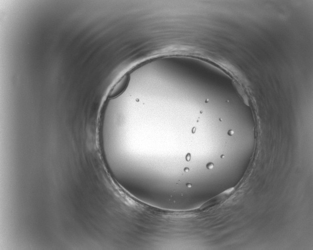 X0000054431296200508051823