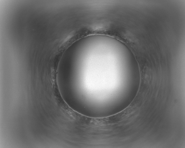 X0000054431301200508051822