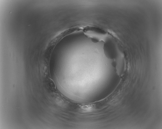 X0000054431303200508051822