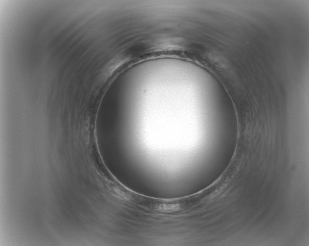 X0000054431313200508051822