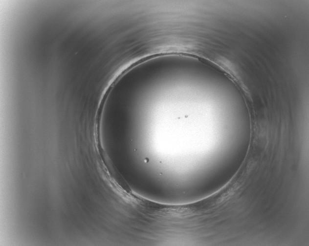 X0000054431340200508051823