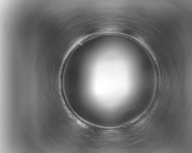 X0000054431341200508051823