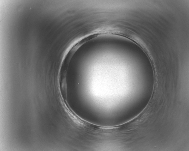 X0000054431344200508051823