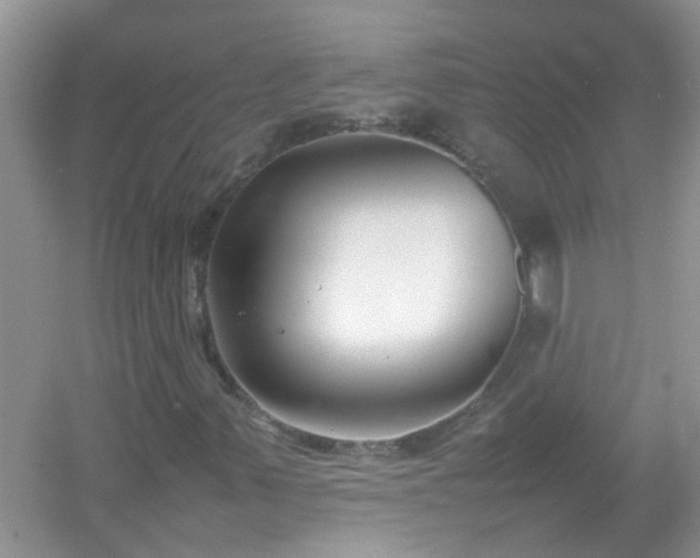 X0000054431347200508051822