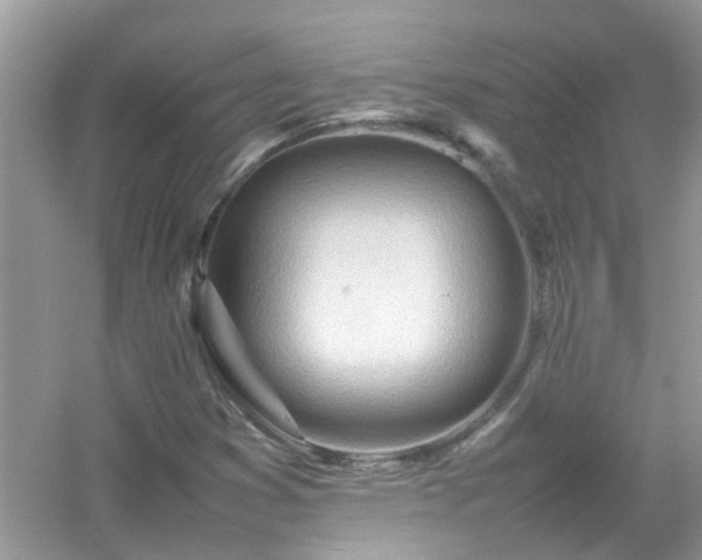 X0000054431353200508051822