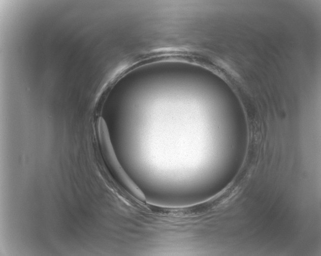 X0000054431357200508051822