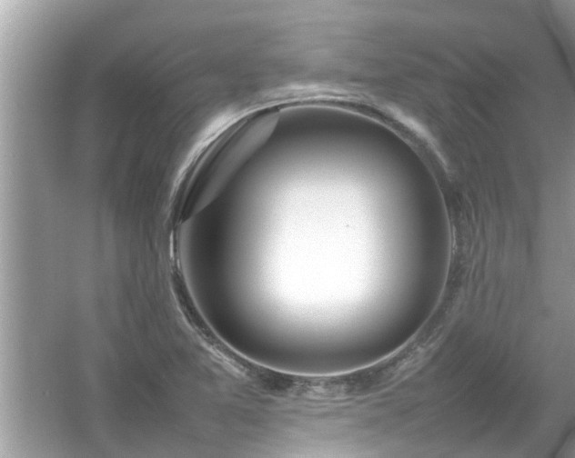 X0000054431365200508051822