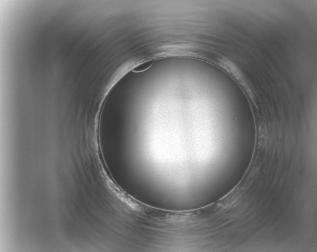 X0000054431386200508051821