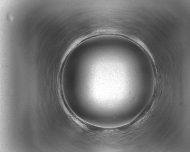 X0000054431389200508051821