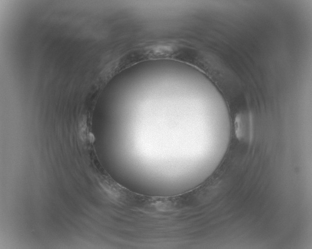 X0000054431395200508051820