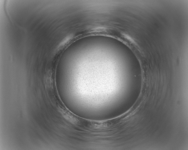 X0000054431403200508051820