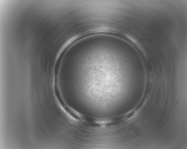X0000054431418200508051821