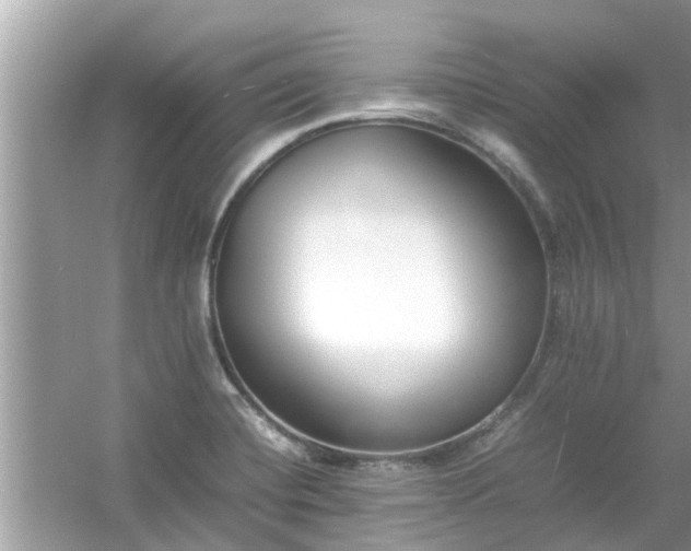 X0000054431420200508051821