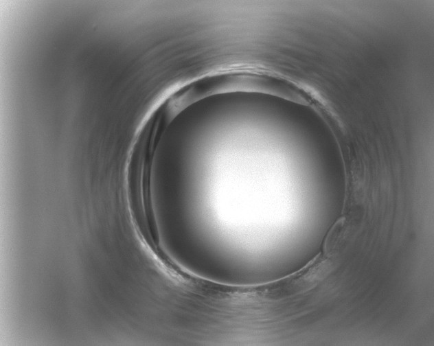 X0000054431422200508051821