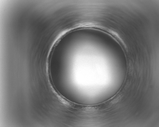 X0000054431424200508051821