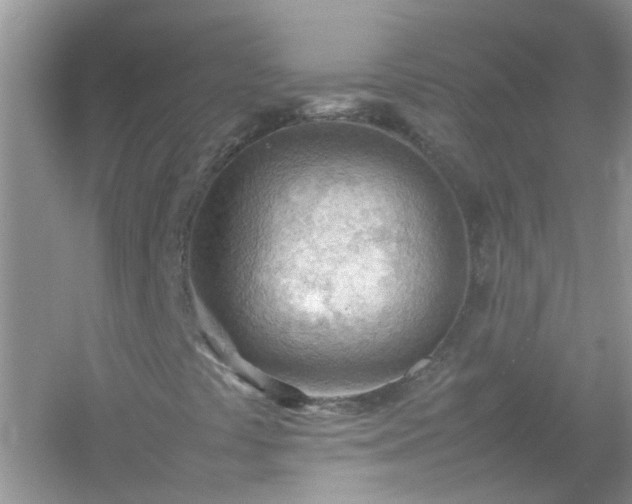 X0000054431441200508051820